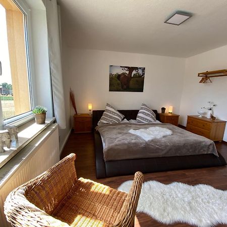 Gelbes Haus Seenland Ferienwohnungen Xl Elsterheide 外观 照片