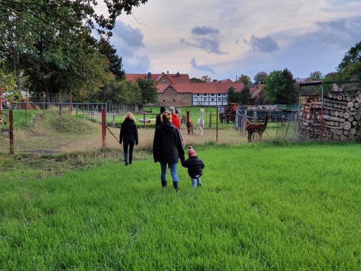 Gelbes Haus Seenland Ferienwohnungen Xl Elsterheide 外观 照片