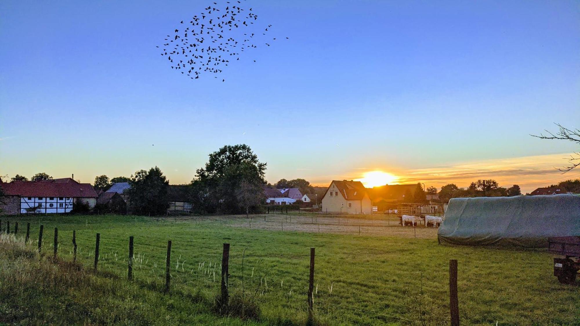 Gelbes Haus Seenland Ferienwohnungen Xl Elsterheide 外观 照片